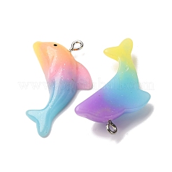 Прозрачные смоляные подвески RESI-H039-02P