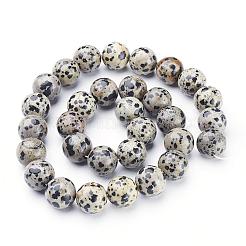 Природные яшмы далматин бисер нитей GSR12mmC004