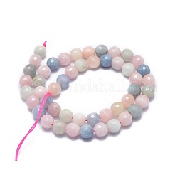 Природные морганит нитей бисера G-G792-31B