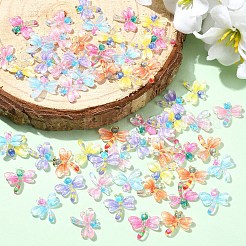60 Stück 6 Farben durchscheinende Harz-Cabochons&nbsp;RESI-YW0005-76