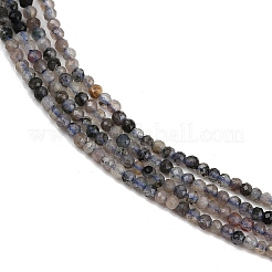 Природные иолит нитей бисера&nbsp;G-RM2025-A47-A