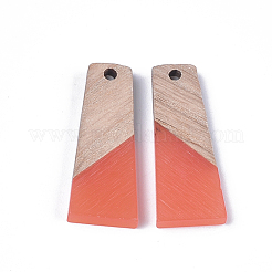 Pendentifs en résine & en bois&nbsp;RESI-S358-59C