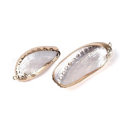Colgantes grandes de concha marina natural galvanizada&nbsp;SSHEL-T018-18