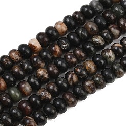 Природного биотита нитей бисера&nbsp;G-L647-D05-4x6mm