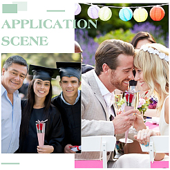 Упаковочный пакет для одной розы&nbsp;AJEW-WH0270-821