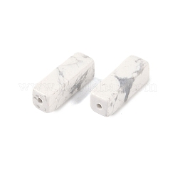 Perle di Howlite naturale&nbsp;G-G137-01H
