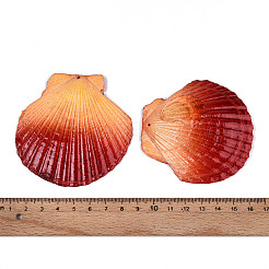 Большие подвески из натуральной ракушки гребешка&nbsp;SSHEL-T017-14D