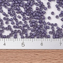 Miyuki Delica Perlen&nbsp;SEED-MY11-DB2293