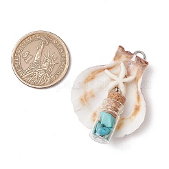 7 шт. 7 стиля подвески в виде морской звезды из натуральной ракушки гребешка и окрашенной синтетической бирюзы PALLOY-JF03564-02