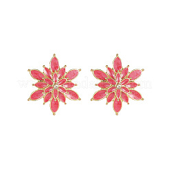 Clous d'oreilles en alliage d'émail&nbsp;WG34768-03