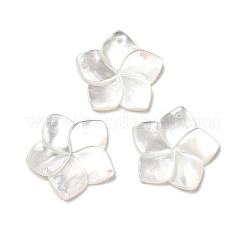 Подвески из натурального белого жемчуга X-SSHEL-G014-60