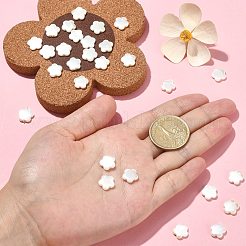 30шт гальванические бусины из натуральных пресноводных ракушек SHEL-CJ0001-26