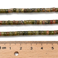 Природные Unakite бисер нитей G-Z110-A24-2x4mm