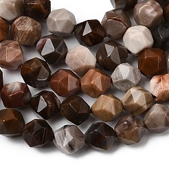 Природные окаменелое дерево бисер пряди G-Z119-A21-01