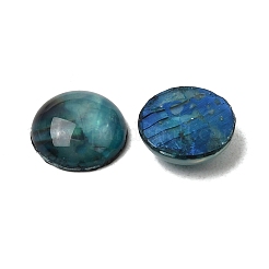 アワビの殻/パウア貝のカボション  半円/ドーム  カラフル  8x1~1.5mm&nbsp;X-SSHEL-K003-8MM