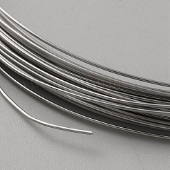 Fili in acciaio inossidabile 316&nbsp;TWIR-WH0002-23F-P