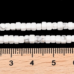 Природные Говлит бисер нитей&nbsp;G-G345-C01-2x4mm