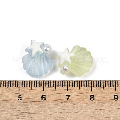 Матовые прозрачные смоляные эмалевые бусины RESI-L047-24