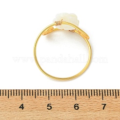 Fingerringe aus natürlicher Trochidenmuschel/Trochusmuschel&nbsp;RJEW-JR01045