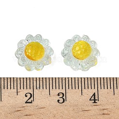 Прозрачные бусины из смолы RESI-D312-04D