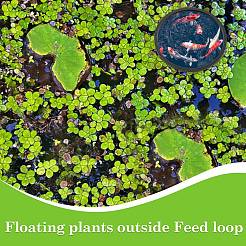 1 комплект колец для кормления рыб из вспененного eva AJEW-CN0002-51A