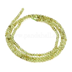 Natürlichen Peridot Perlen Stränge&nbsp;G-A322-A07-2mm