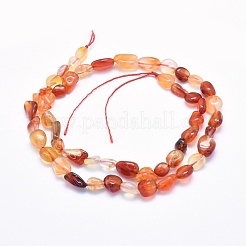 Природного сердолика нитей бисера G-G765-52