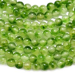 Натуральный Malaysia нефритовые бусы пряди&nbsp;G-L645-C01-6mm-31