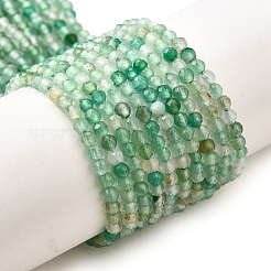 Природный агат бисер нитей&nbsp;G-G259-D09-3mm