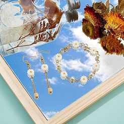 20шт натуральные пресноводные бусины из ракушек PEAR-NB0001-14