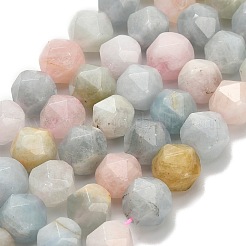 Природные морганит нитей бисера G-H329-E03-10mm-01