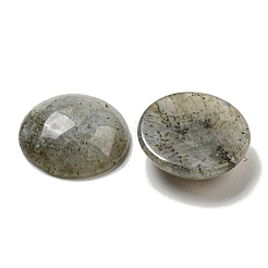 Natur Labradorit Cabochons&nbsp;G-C115-02A-26