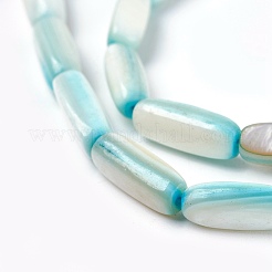 Chapelets de perles en coquille d'eau douce &nbsp;BSHE-O017-03A