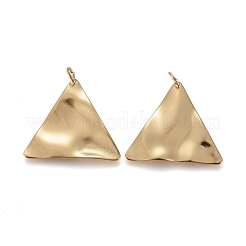 Pendentifs en acier inoxydable 304 avec placage ionique (IP)&nbsp;STAS-I164-012G