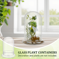 Стеклянный купол&nbsp;DJEW-WH0099-06C