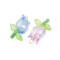 Акриловые подвески&nbsp;PALLOY-JF03535-01