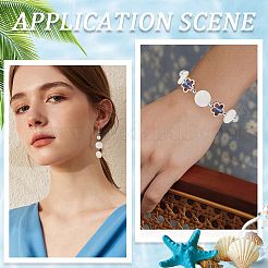 4 нить бусины из натуральных пресноводных ракушек&nbsp;BSHE-SC0001-20A