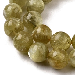 Натуральные лепидолитовые бусины G-F799-B02-12mm