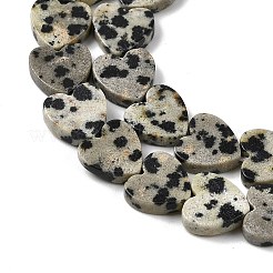 Природные яшмы далматин бисер нитей G-M403-A31-03