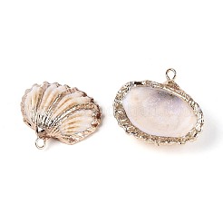 Colgantes de concha marina natural galvanizada&nbsp;SSHEL-T018-16