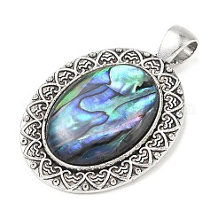 Paua naturale pendenti shell&nbsp;SH-K001-01B