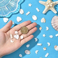 60шт 6 стиля подвески из натуральных пресноводных ракушек&nbsp;SHEL-YW0001-21