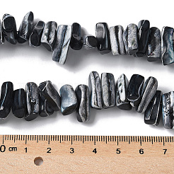 1 нить окрашенных натуральных бусин из ракушек трохус SSHEL-PA0001-01C