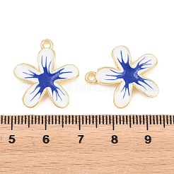 Pendentifs d'émail en alliage&nbsp;FIND-C095-06G