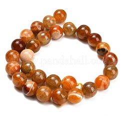 Natur Drachen Venen Achat Perlen Stränge&nbsp;GG-L001-L01-01F