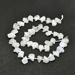 Необработанные грубые натуральные радужные бусины из лунного камня нити G-E576-18