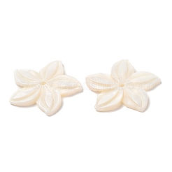 Бусины из натуральных пресноводных ракушек SHEL-F007-18