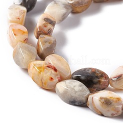 天然クレイジーレースアゲートビーズ連売り  ツイスト  12x6x6mm  穴：1mm  約33~34個/連  15.39''~15.98''（39.1~40.6センチメートル）&nbsp;G-L243B-20
