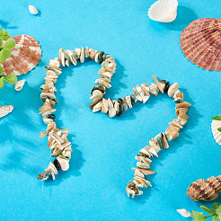 1 нить бусин из натуральных ракушек&nbsp;SSHEL-TA0001-12