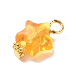 Прозрачные акриловые подвески&nbsp;PALLOY-JF01834-03